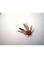 Silver bell caps medium