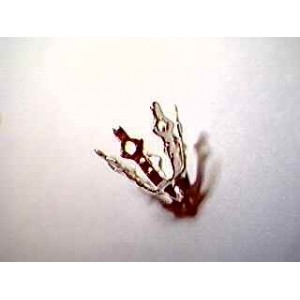 Silver bell caps large