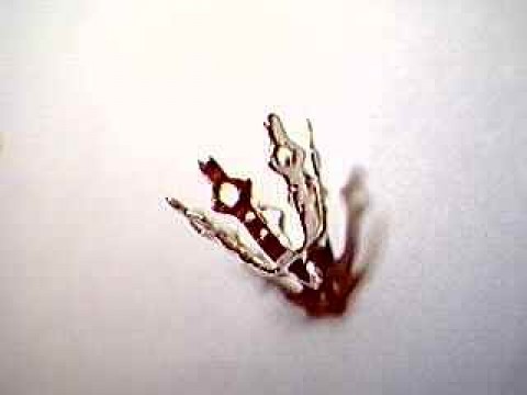 Silver bell caps large