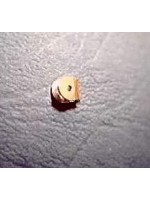 Silver flat joint hinge