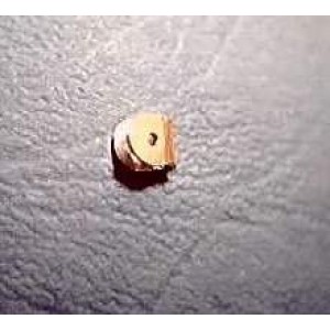 Silver flat joint hinge